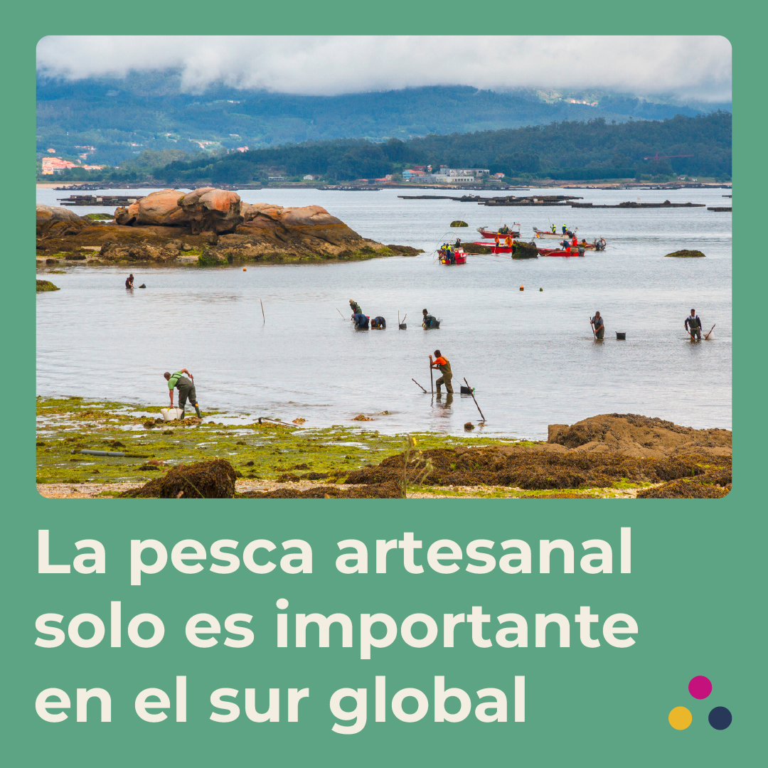 La pesca artesanal solo es importante en el sur global, ¿mito o realidad?