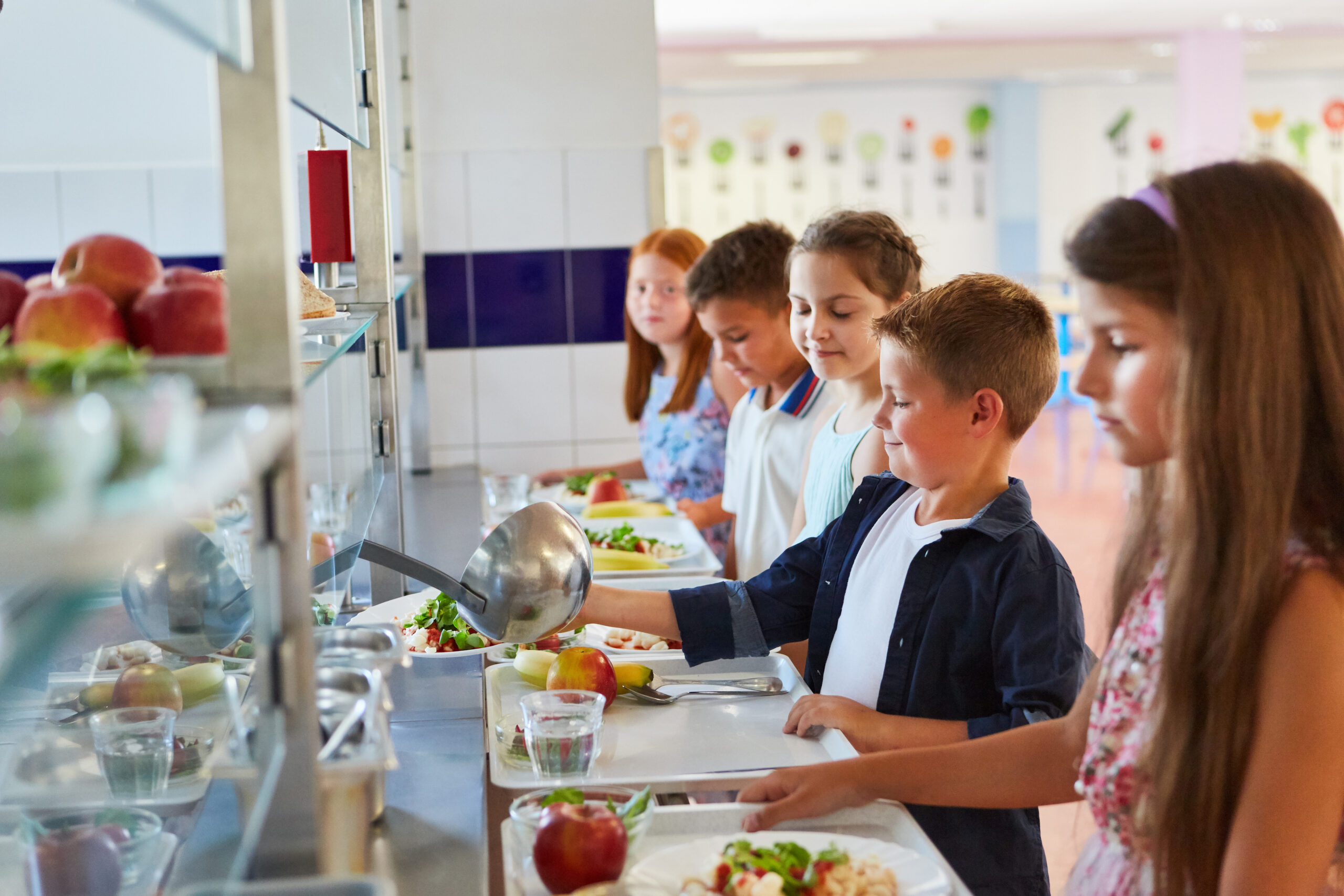 ¿Qué pasaría si la transición hacia un sistema alimentario sostenible se iniciase en las escuelas?