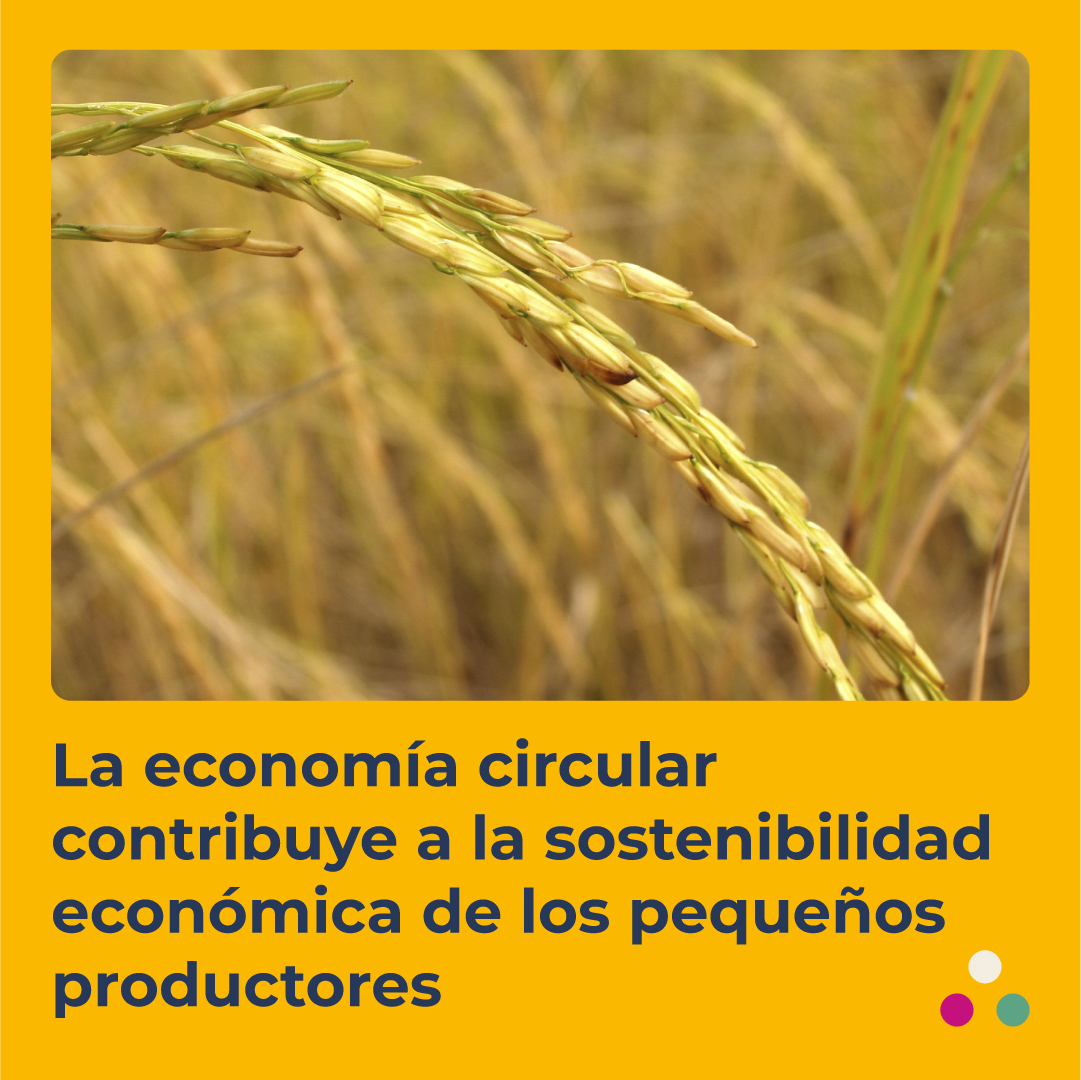 La economía circular contribuye a la sostenibilidad económica de los pequeños productores