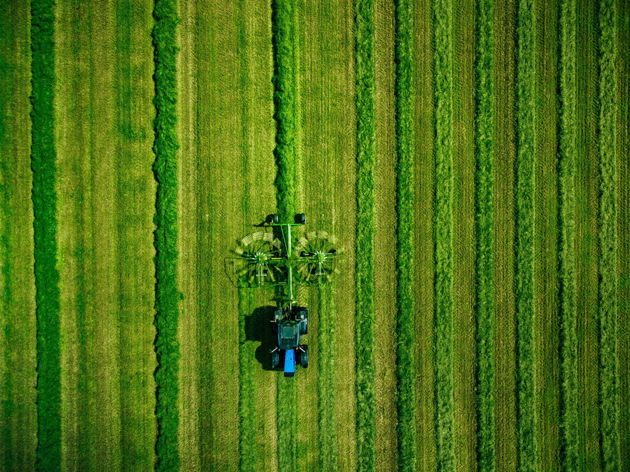 Vista aérea de un tractor con una máquina agrícola trabajando en un extenso campo verde, dejando franjas de vegetación diferenciadas a su paso. El terreno presenta largas hileras de cultivo en distintos tonos de verde.